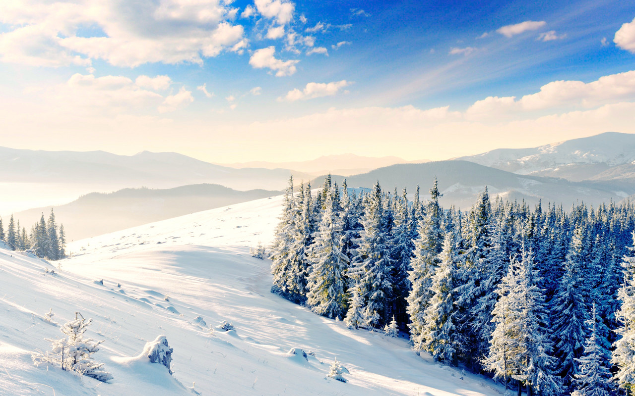 这个冬天,去北方看雪景吧!