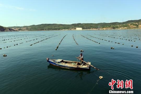 近年来,长岛县投入大量资金建设海洋牧场,推行立体生态生产模式和新