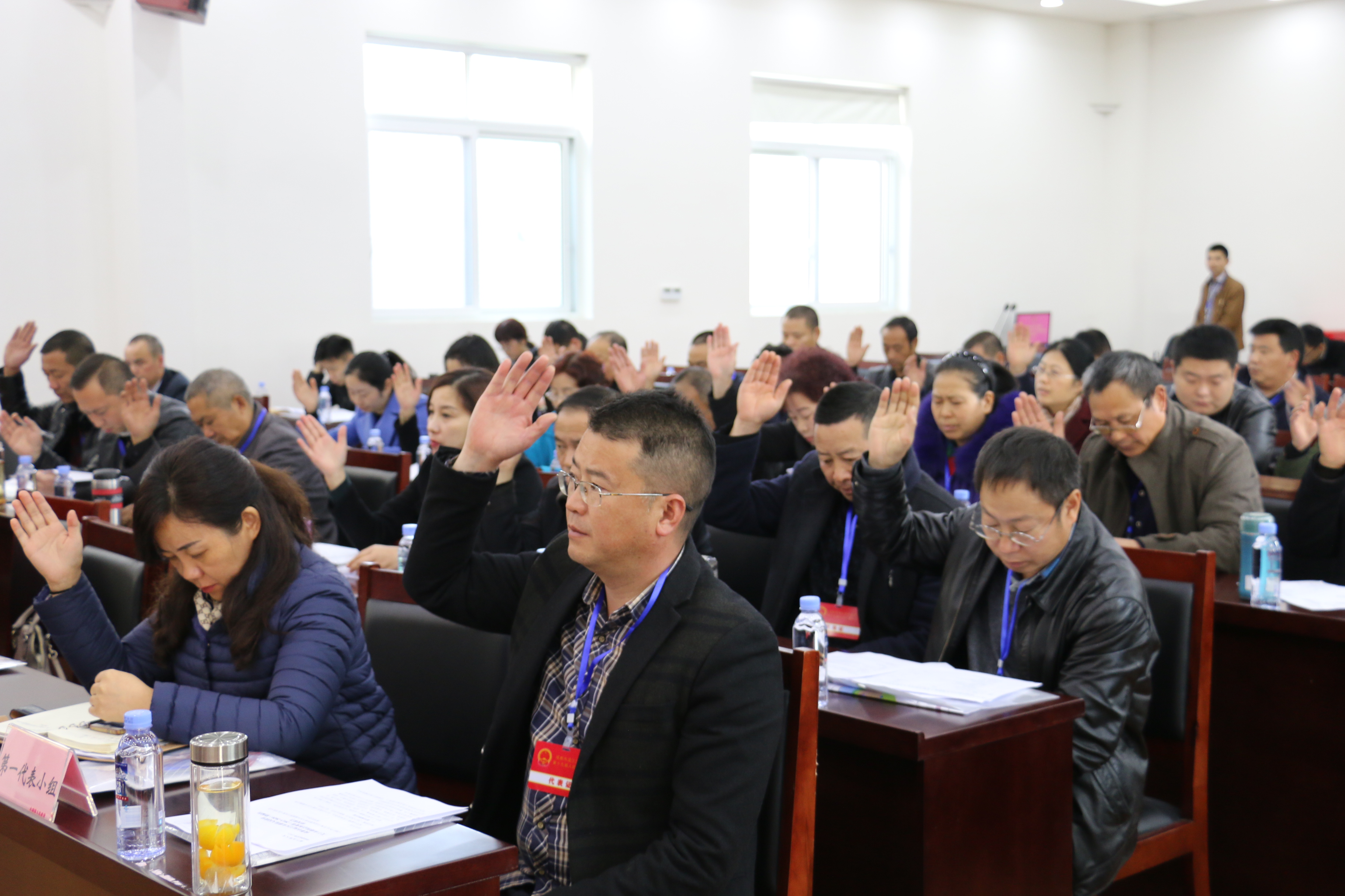 温江区永盛镇第十九届人民代表大会第四次会议胜利召开