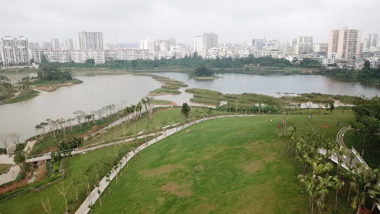 美舍河凤翔湿地公园绿意盎然景色秀丽.