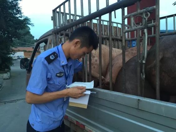 猪肉盖有红色或蓝色的印章?知道为什么吗?看完这个你