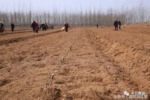 去世人口还能分到土地吗_亲人去世的图片