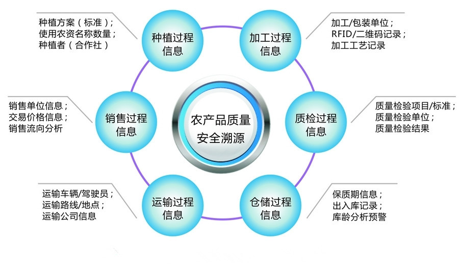 你可能不知道什么是追溯