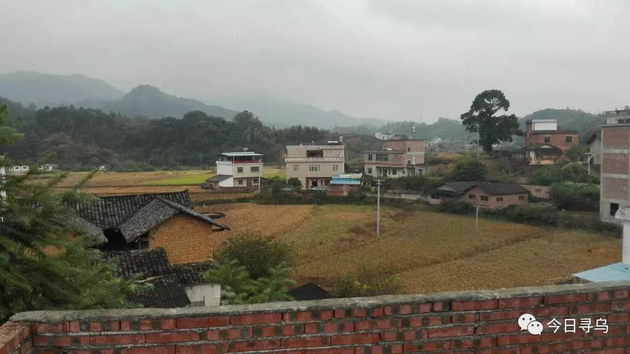 最美寻乌|红色村庄龙庭乡大田村