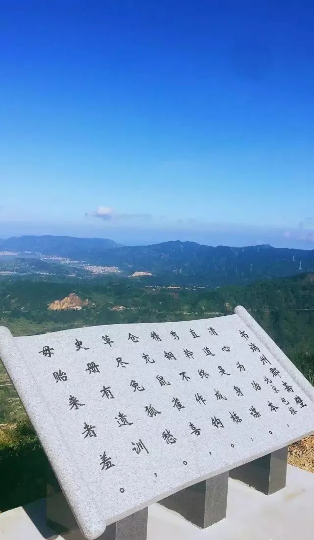 登上炉峰山顶峰,一座特别的茶山赫然出现在眼前:只见茶山上茶树的排列