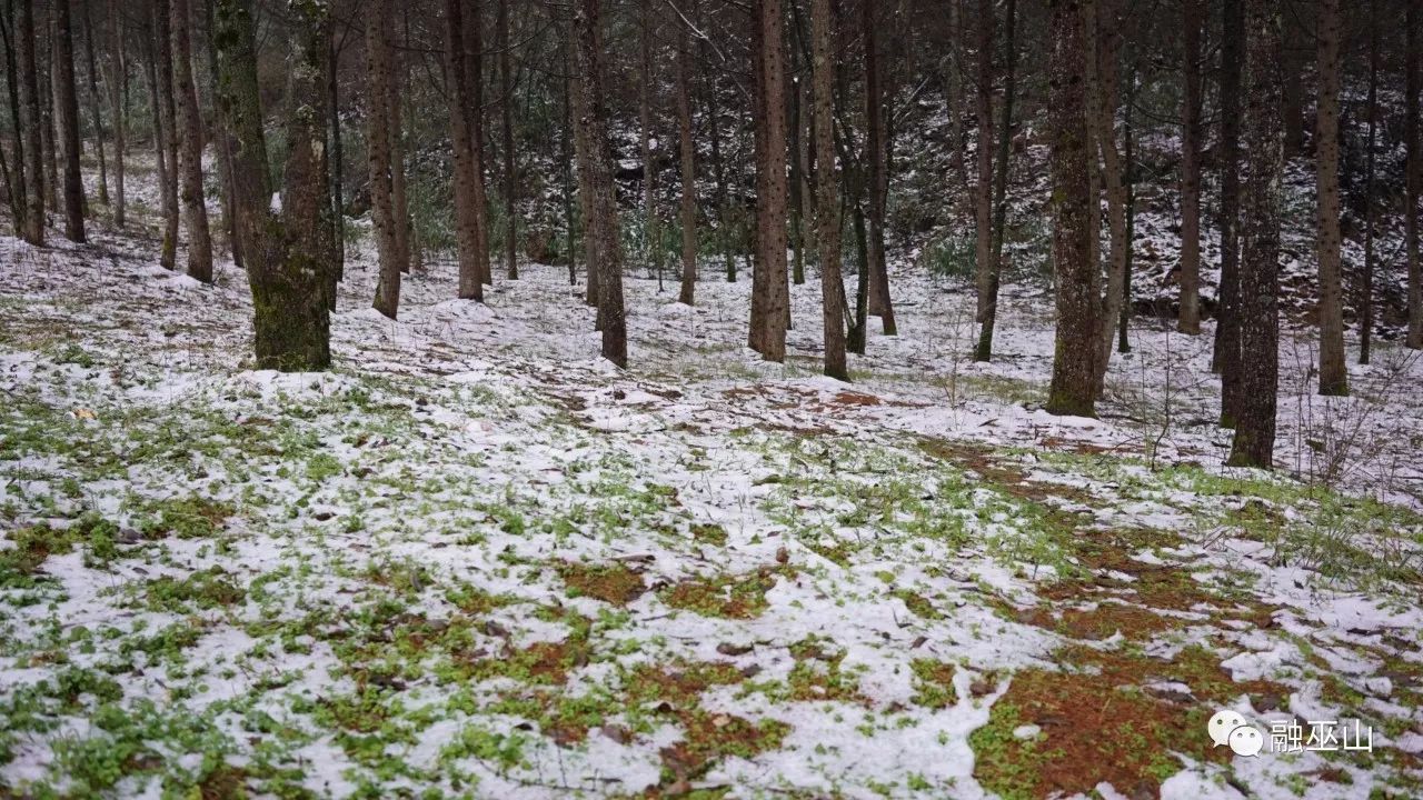 欣赏!梨子坪今冬的薄雪,飘洒着冬日的浪漫