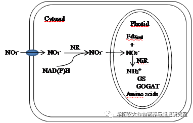 人与自然体现了什么哲学原理_自然哲学的数学原理(2)