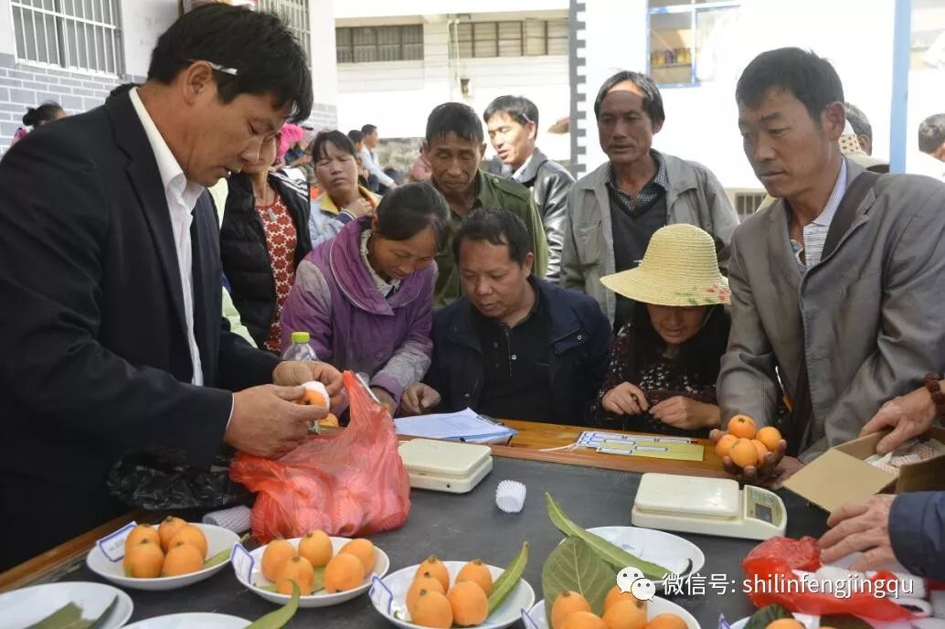 最终,来自大可岩子脚村委会习克丈村的胡志彬,以最大单果果重70.