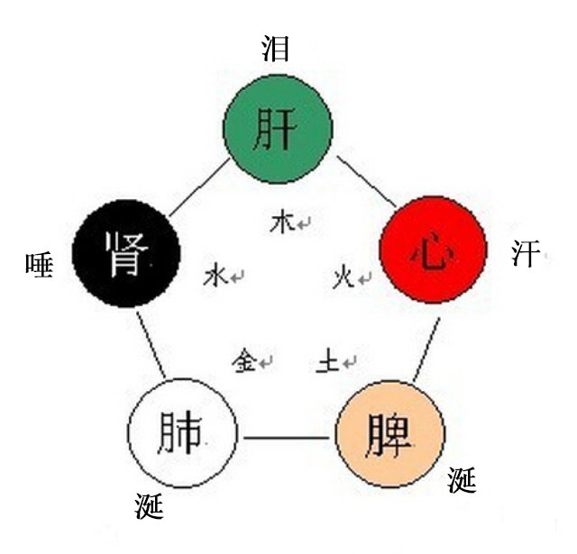 五病,五邪,五藏,五劳,五脉