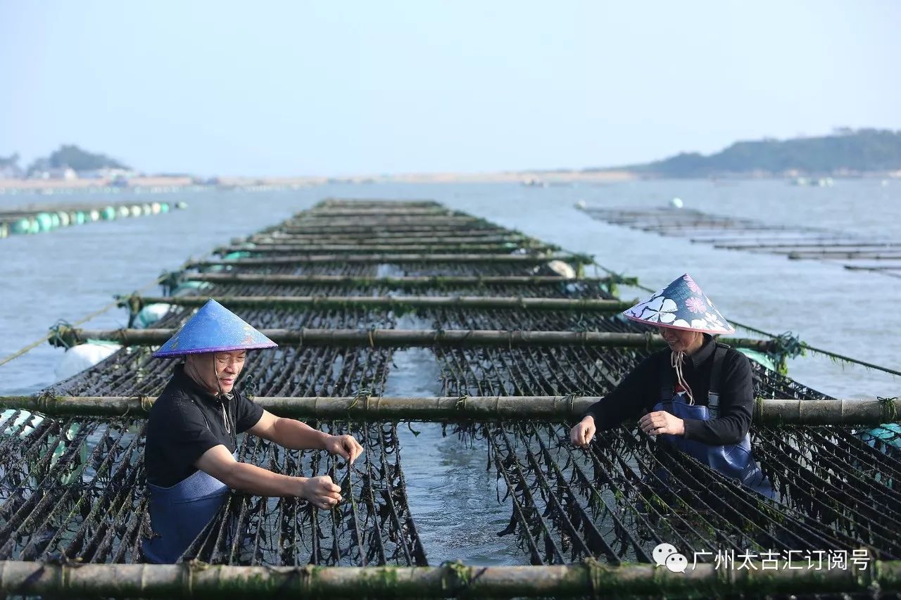 上海私房菜，海皇蟹黄干捞粉丝煲 - 知乎