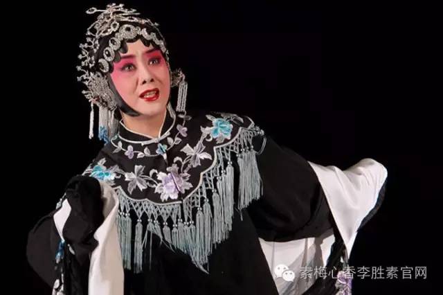 一代更比一代强：中国传统文化的优秀传承人和创新者 - 李胜素