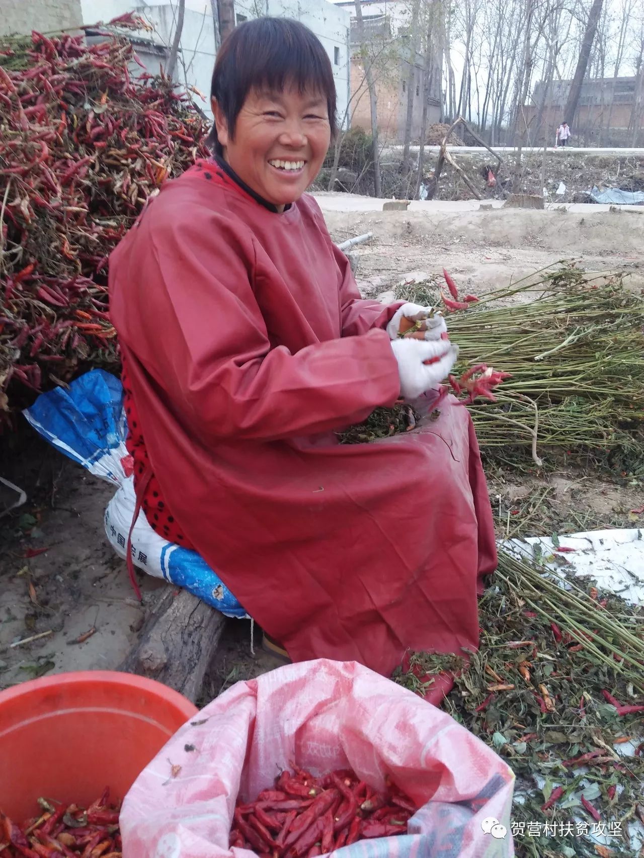 杞县裴村店贺营村有多少人口_杞县黑木村有多少人(2)