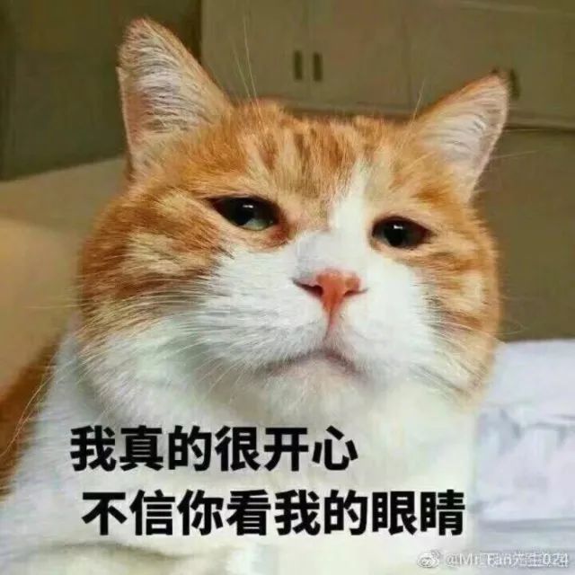 我看你就是在为难我忻猫咪