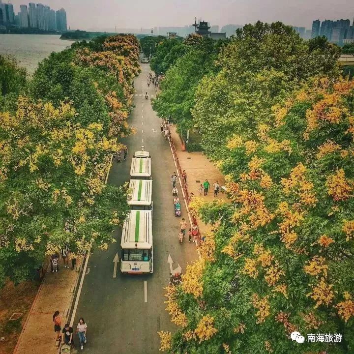 湖南橘子洲头秋景,图来自麻辰逸