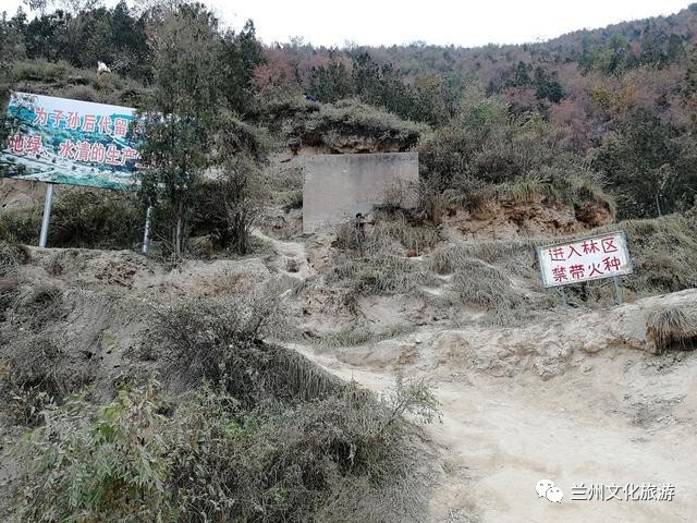 兰州这座将荒山变成森林公园的山,登顶可观兰州全景