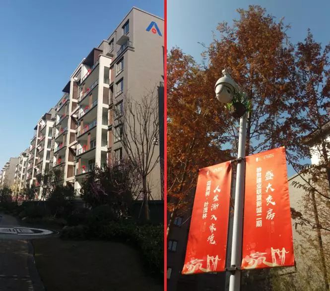 再探永城建业联盟新城,百闻不如一见的建业交房标准!