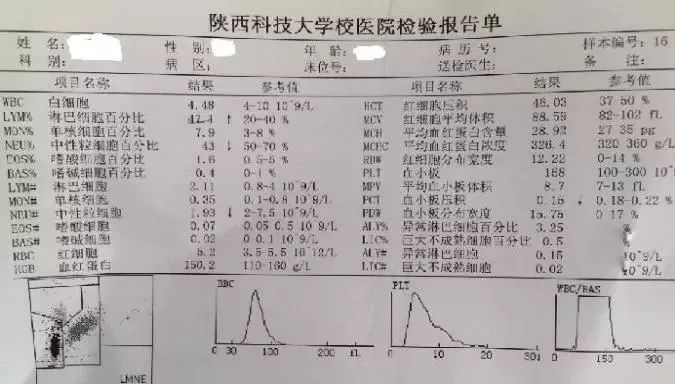 申请报告结尾