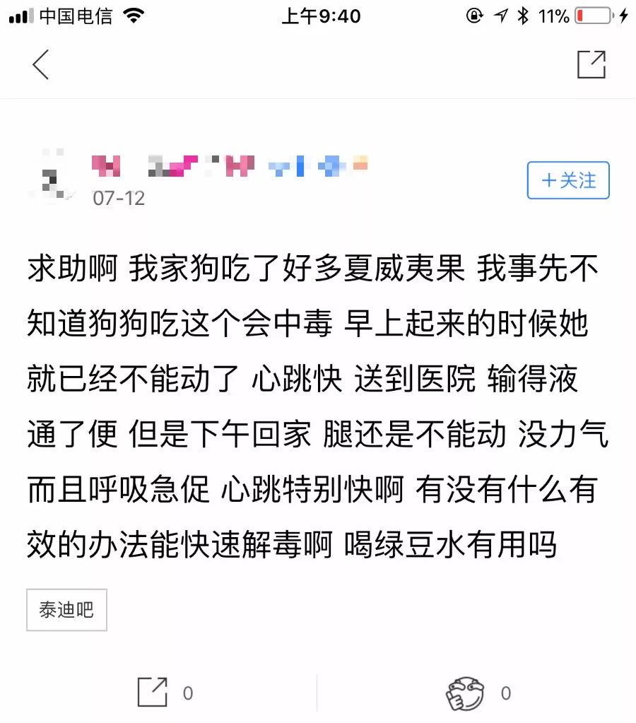 狗吃了夏威夷果怎么办