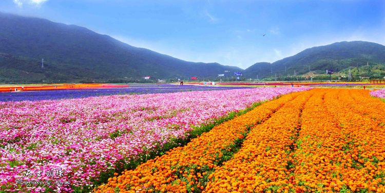 大美海棠 国家海岸—三亚海棠湾