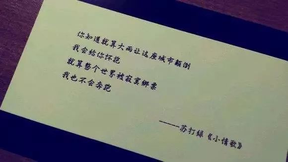 我没有说谎 我何必说谎 爱一个人 没爱到难道就会怎么样 难道情歌都