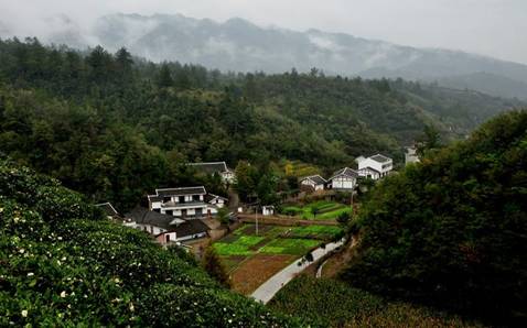 土城镇土城村门古寺镇项家河村这些上榜美丽建设试点村有你家吗?