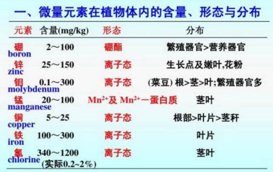 薯技中微量元素和植物调节剂怎么用