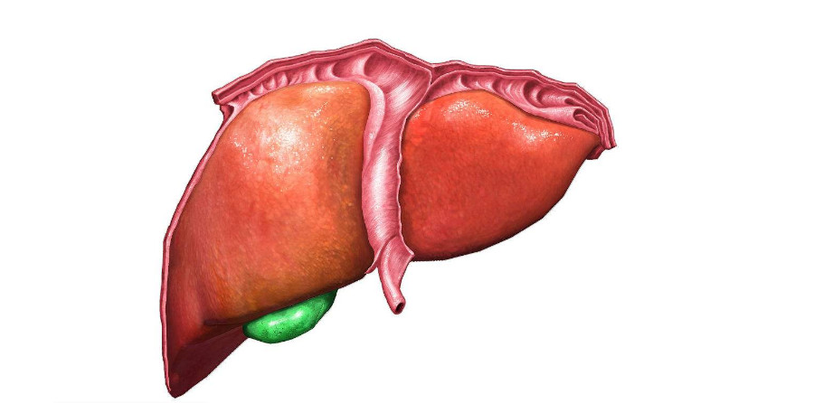 增加以后肝脏胞膜会紧缩,他就会有肝区疼痛,或是肝区不适这些表现