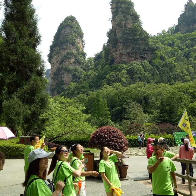 张家界旅游,提高景区导游服务的水平,提供纯玩