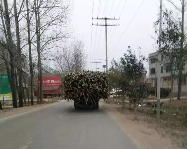 赣榆县人口多少人口_赣榆县太平村图