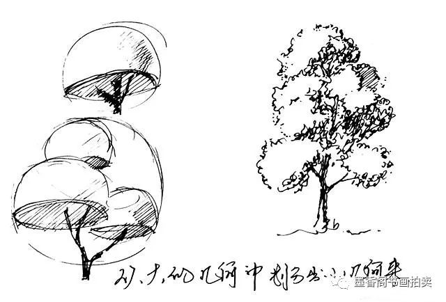钢笔速写树的画法