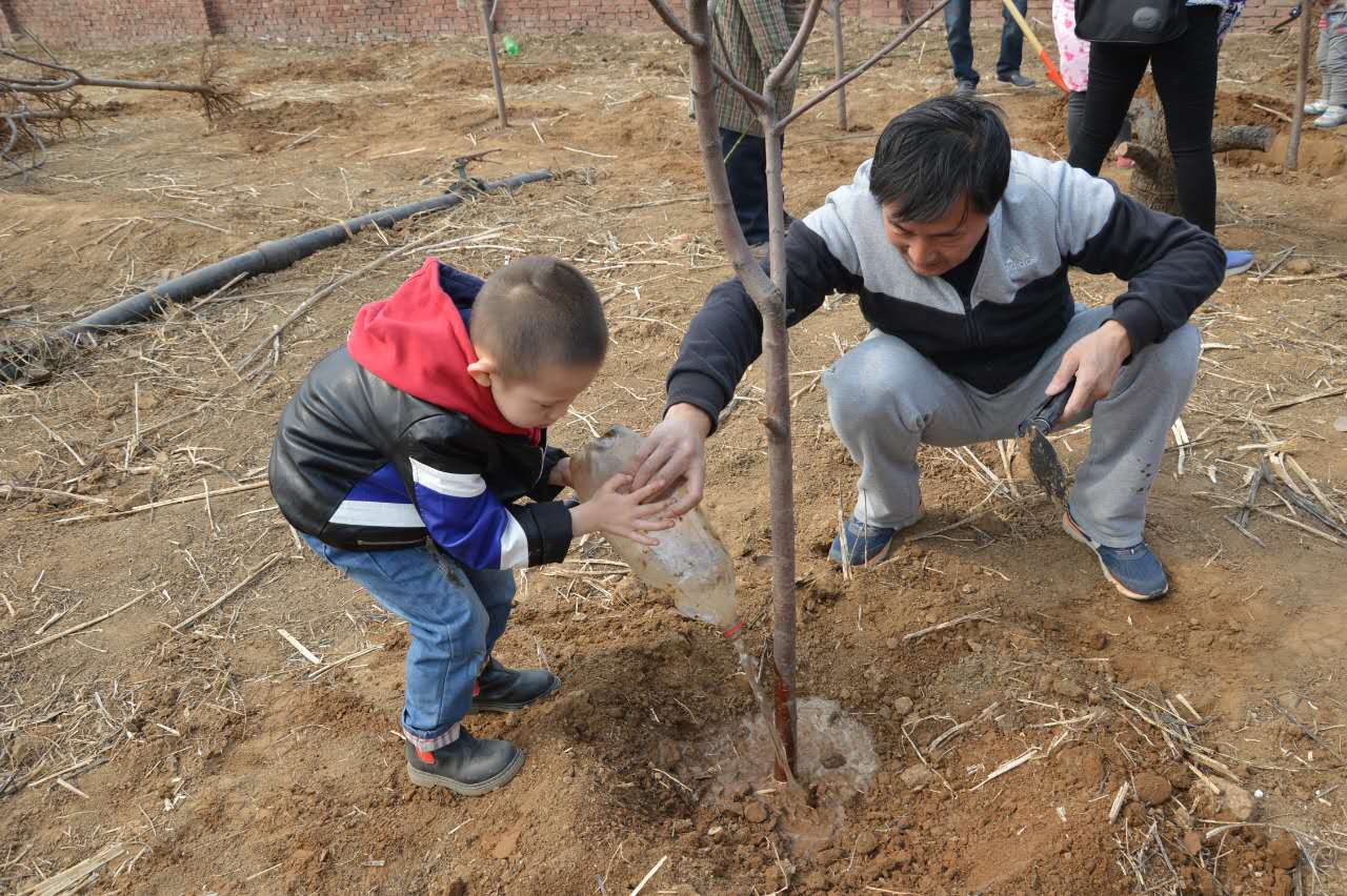 外国语小学附属双语幼儿园小二班开展踏春植树活动