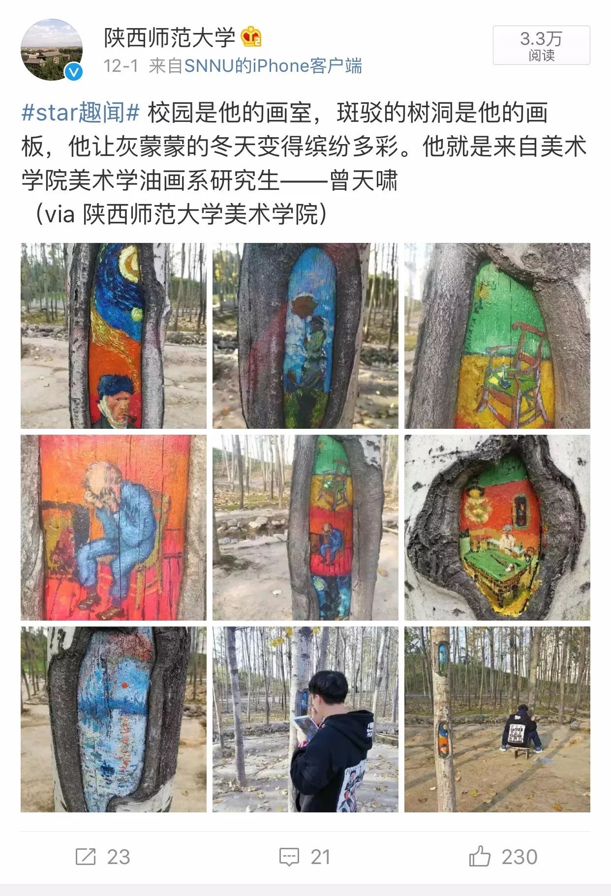 这个冬天,来师大树林里寻找树洞的秘密