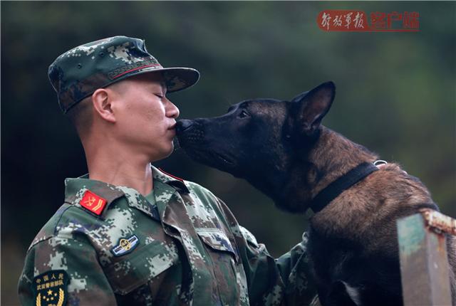 聆听杨班长与他那两只同名军犬"呼啸"的故事