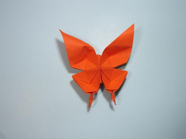儿童手工折纸蝴蝶 凤尾蝶的折法详细图解