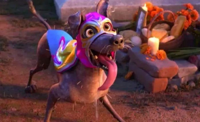 温情动画《寻梦环游记》里的墨西哥无毛犬:其实我曾被
