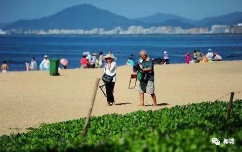 海南老年人口_海南1年内220名60岁以上老人因交通事故死亡交警部门呼吁关注老(2)