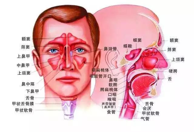 别拖成了鼻咽癌!