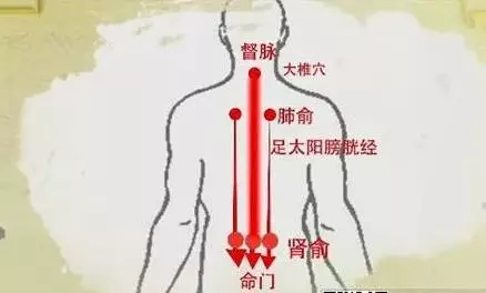 小孩子发烧刮痧的位置和大人发烧刮痧的位置是不一样的!