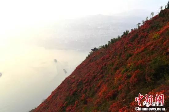 巫山县人口有多少_重庆 3 个带 山 字的区县 一个邻近主城区 一个拥有机场(3)