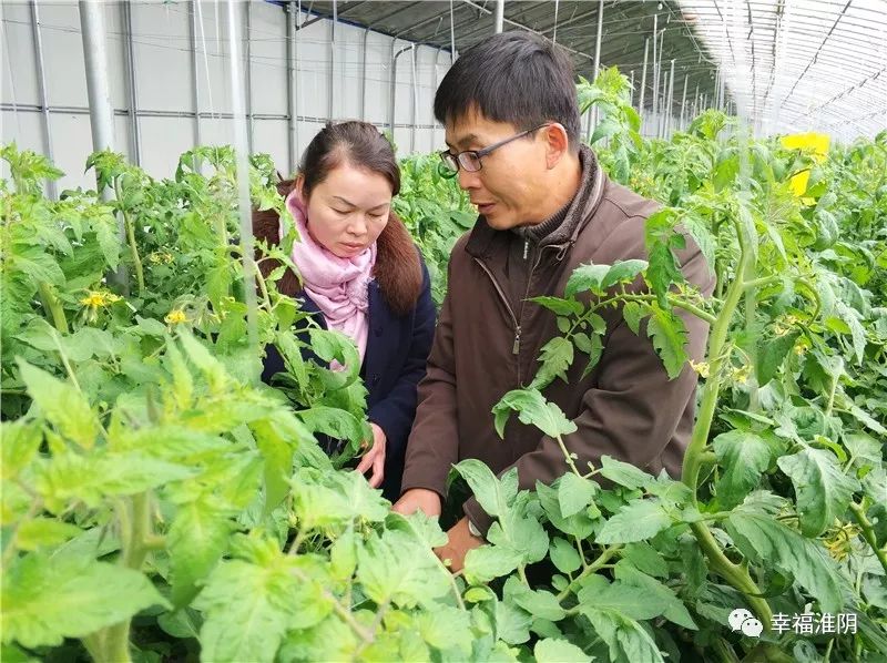 十八载田垄地头的坚守,我就是一个普通的农技员