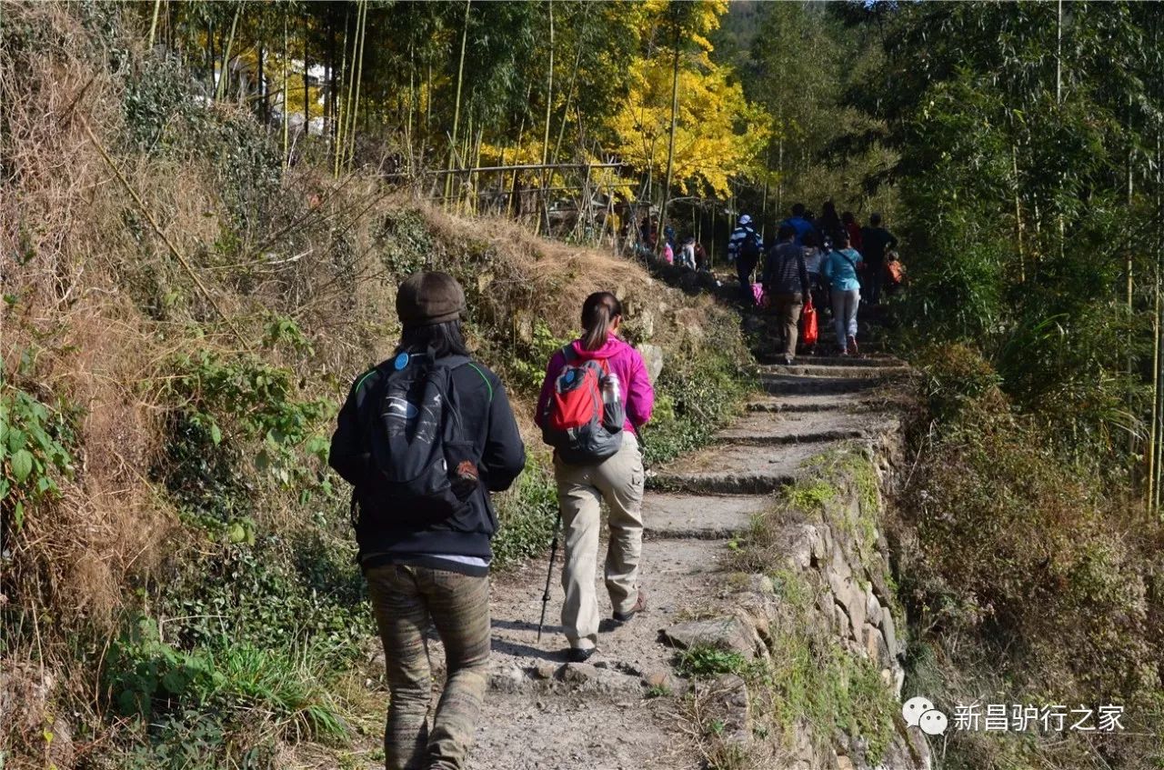 浙江15条别样徒步登山道 领略不一样的风情