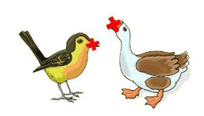 一只鸭猜成语是什么成语_看图猜成语一只黄鸭和一只黑鸭对视