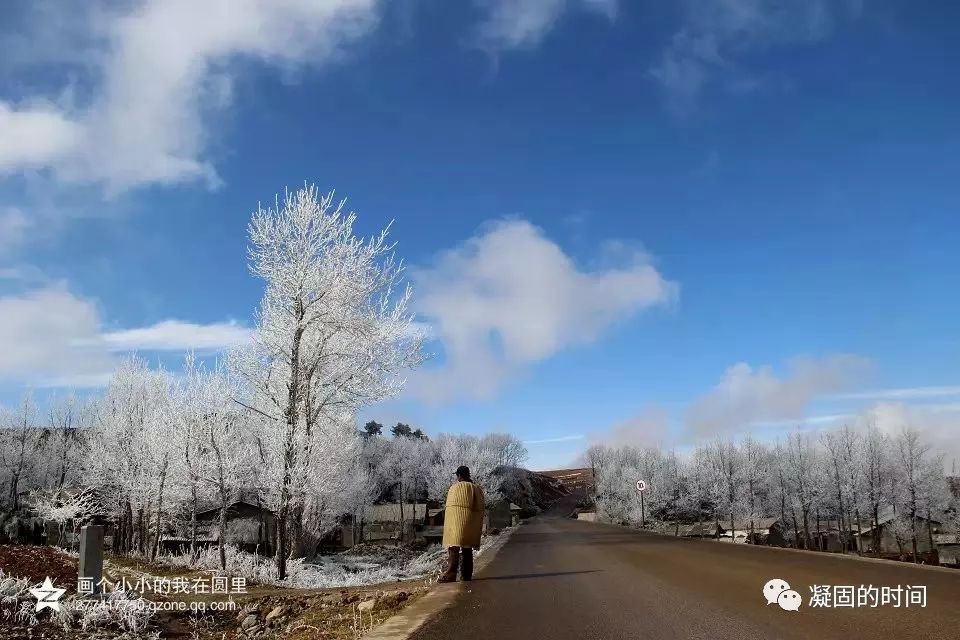 摄影 冬恋大山包 一