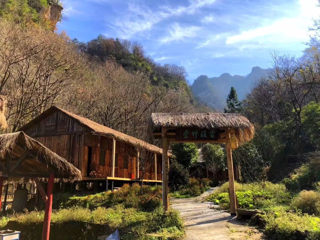 【尘外清音 择琴而居 】兼堂陈峰永的山中岁月