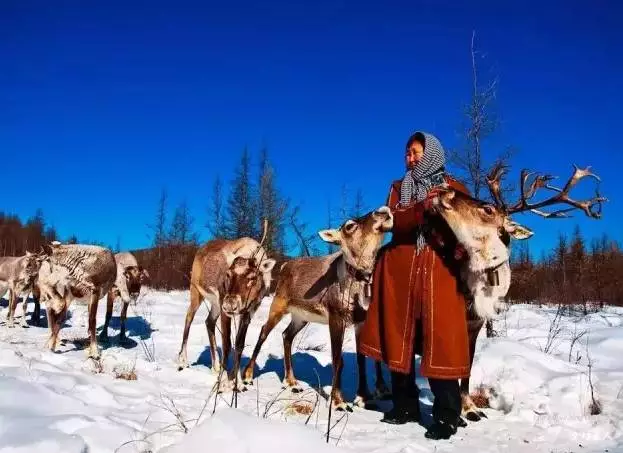 生活在这里的鄂温克族猎民,世代以驯鹿为伴,是"中国最后的狩猎部落".