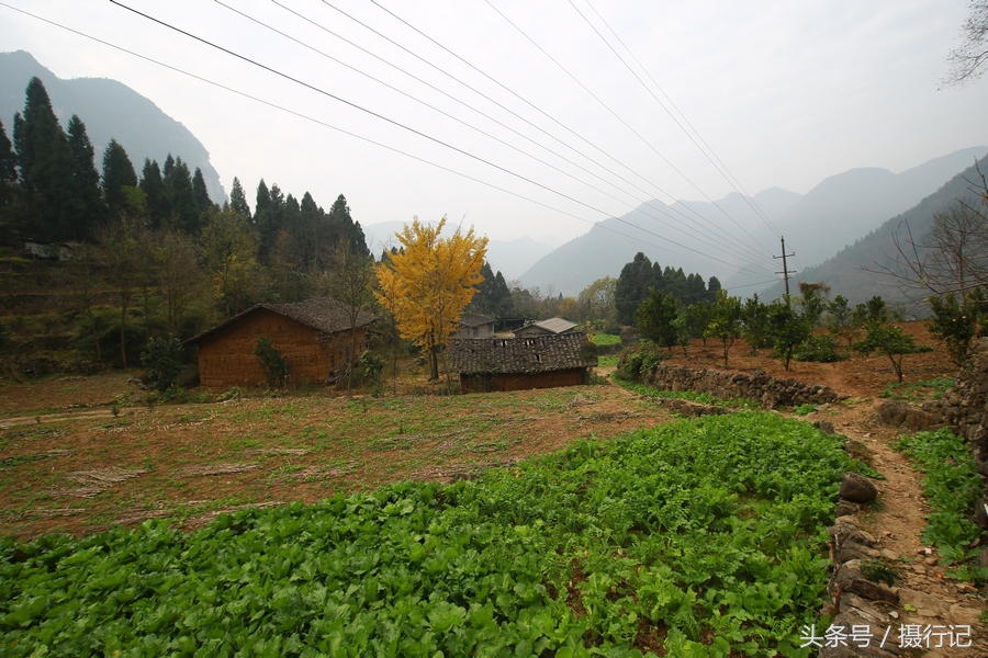 宜昌有多少人口_湖北宜昌对长江 清江入河排污口实施分类整治