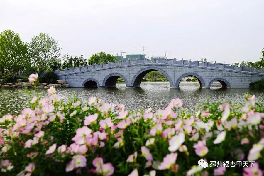 邳州市人口有多少_2019年,邳州要有两个 县城 将成为城市副中心