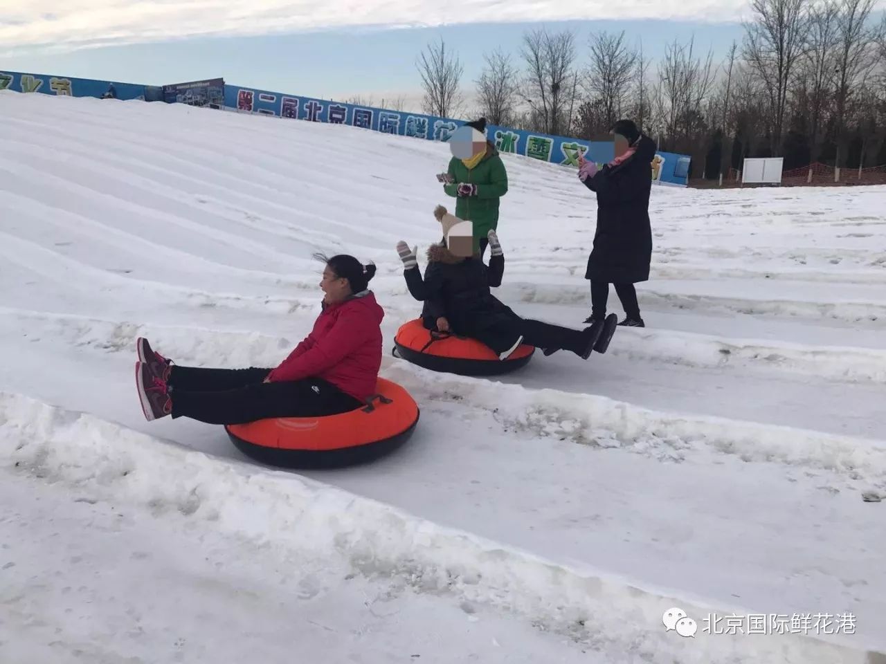 第二届·北京国际鲜花港冰雪文化节"空降萌宠",梦幻的