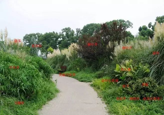 植物配置如此经典