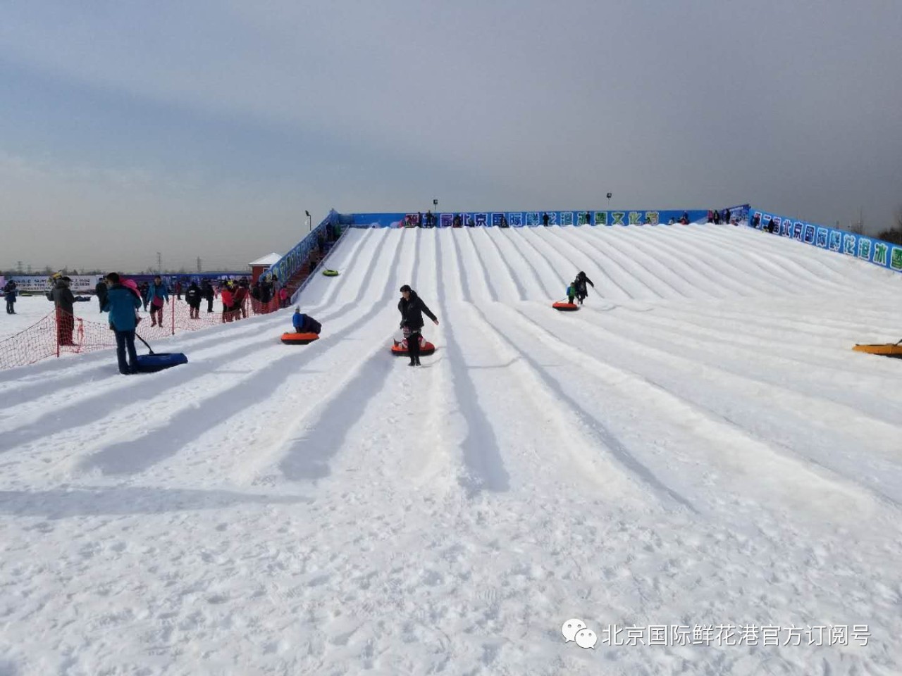 第二届北京国际鲜花港冰雪文化节空降萌宠梦幻的冰雪奇缘即刻开启